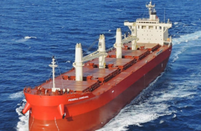 氨動力散貨船你了解嗎?其有何特點?