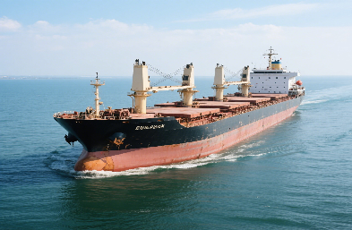 揭秘:散貨船海運的奧秘與挑戰(zhàn)!