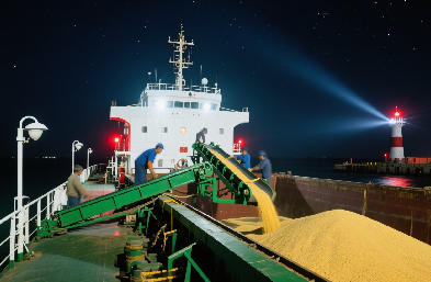 散貨船運輸：直達全球港口，運價透明，降本更高效